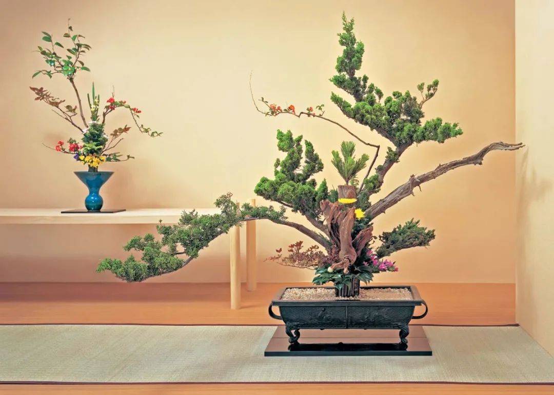 日式插花:你需要了解的日本花道艺术(附100例绝美日式插花)_风格_佐藤_Seika
