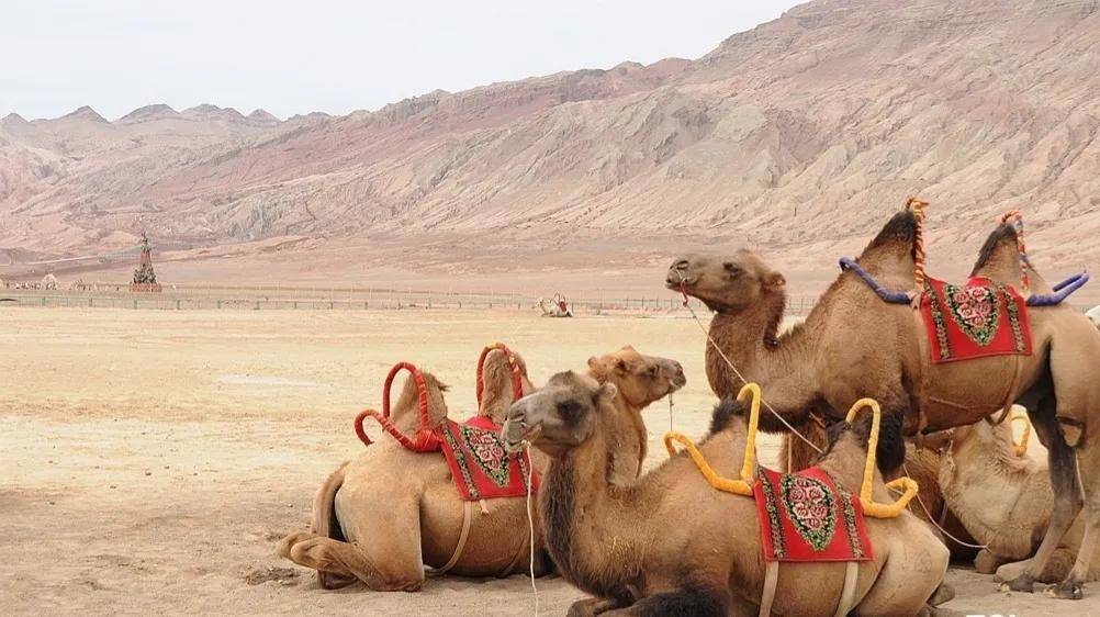 西游记里的火焰山:一个让人充满无尽想象的地方_经典故事_孙悟空_骆驼