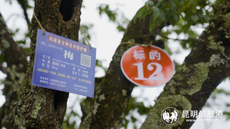 网络名人助力乡村振兴寻找洱源美好推荐官第二季直播活动225万人次