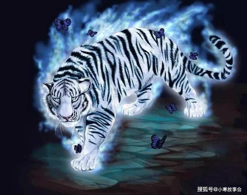 青虎 来自搜狐网