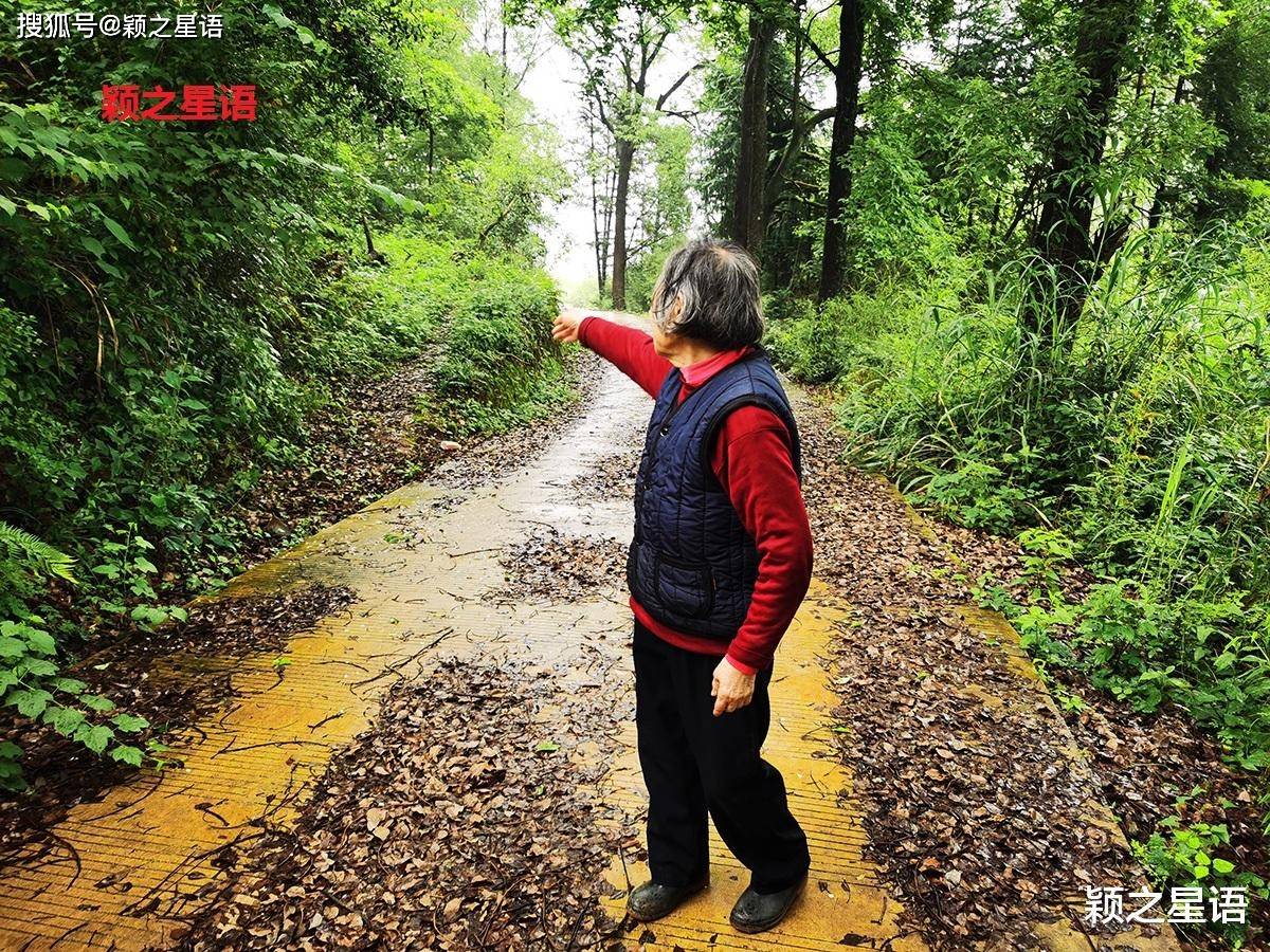 宁海峰山村，冰川石浪，还有古树群