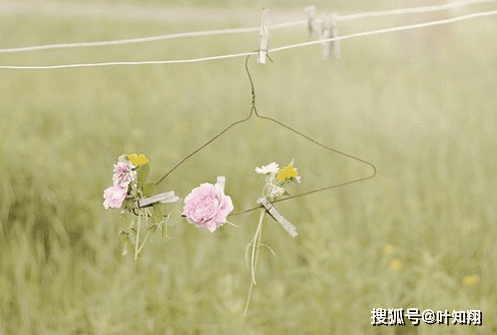 煮一壶尘世酒,迎一世醉人间