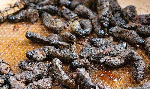 西玛,但是非洲的厨房环境并不是很理想,所以说他们的食物做出来就让人