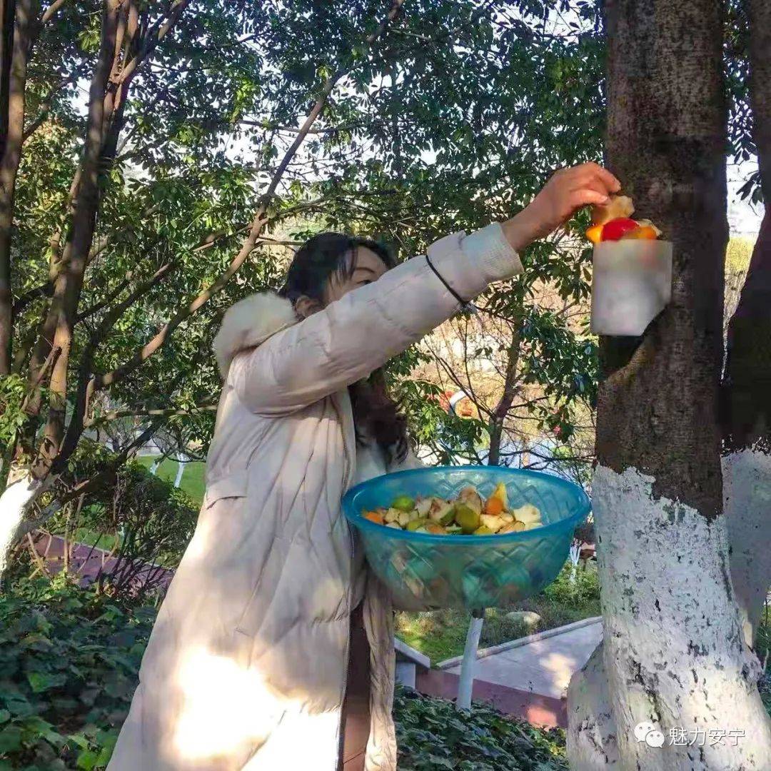 听说，安宁百花公园可以喂松鼠