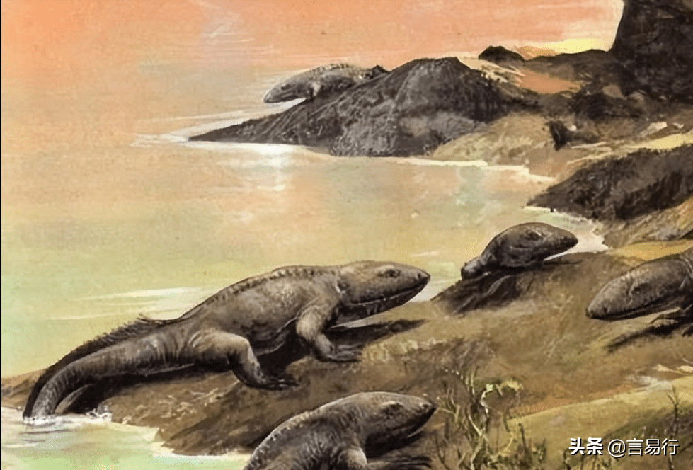 地球上最早的两栖类动物 鱼石螈 人类可以呼吸氧气