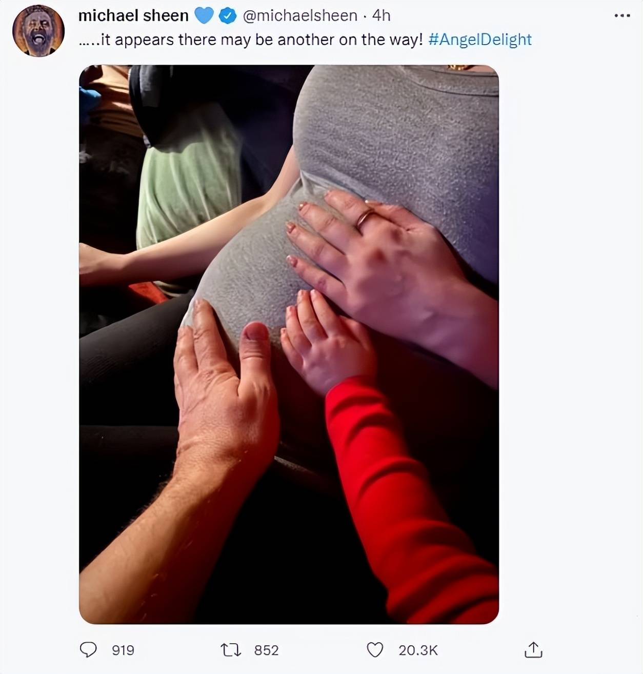 原创暮光之城男演员迈克尔辛53岁迎来第三个孩子晒27岁女友孕照