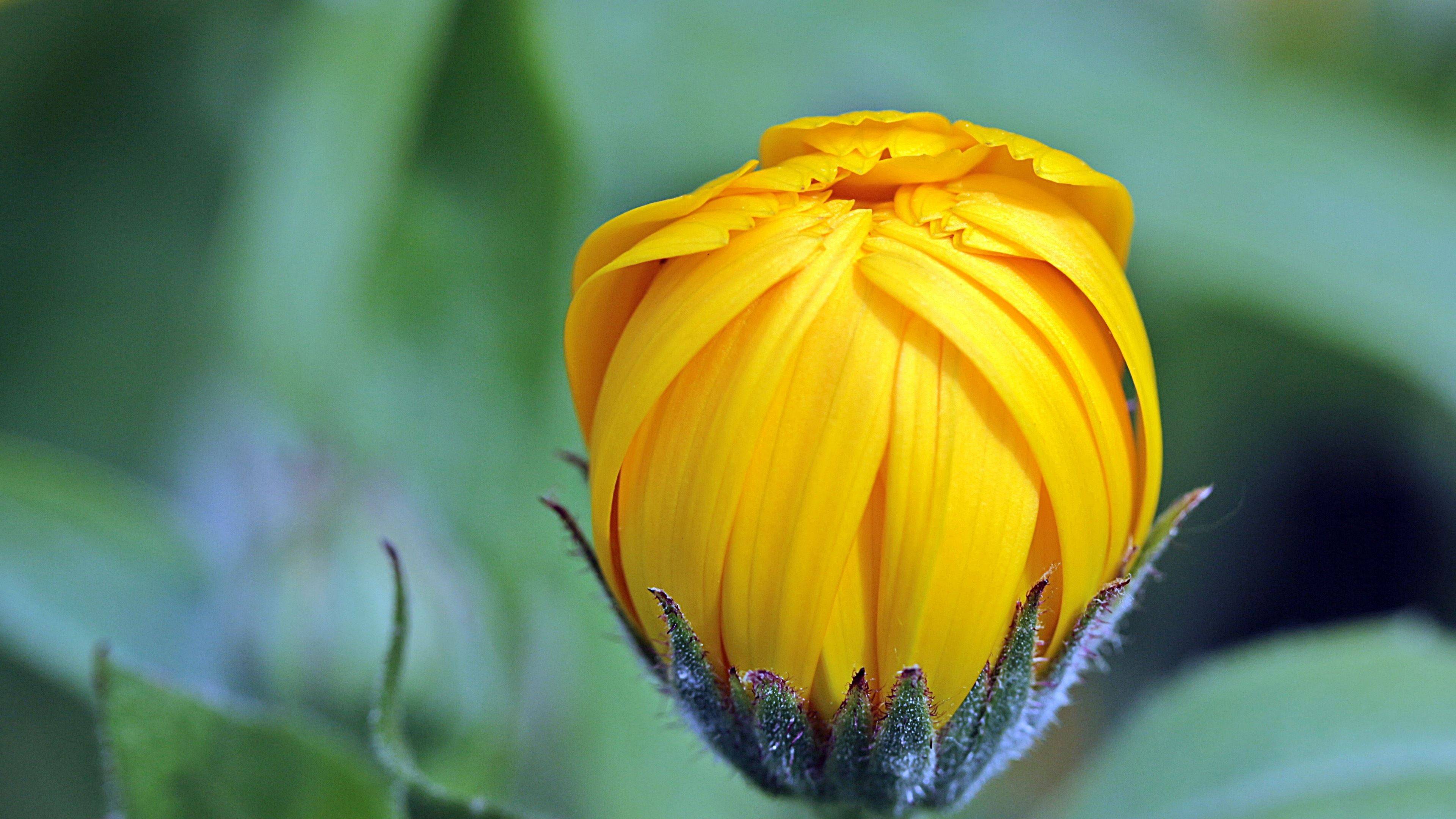 7月12日 18日爱情运势 荣获挚爱 深情守护的四大星座 伴侣 单身 未来