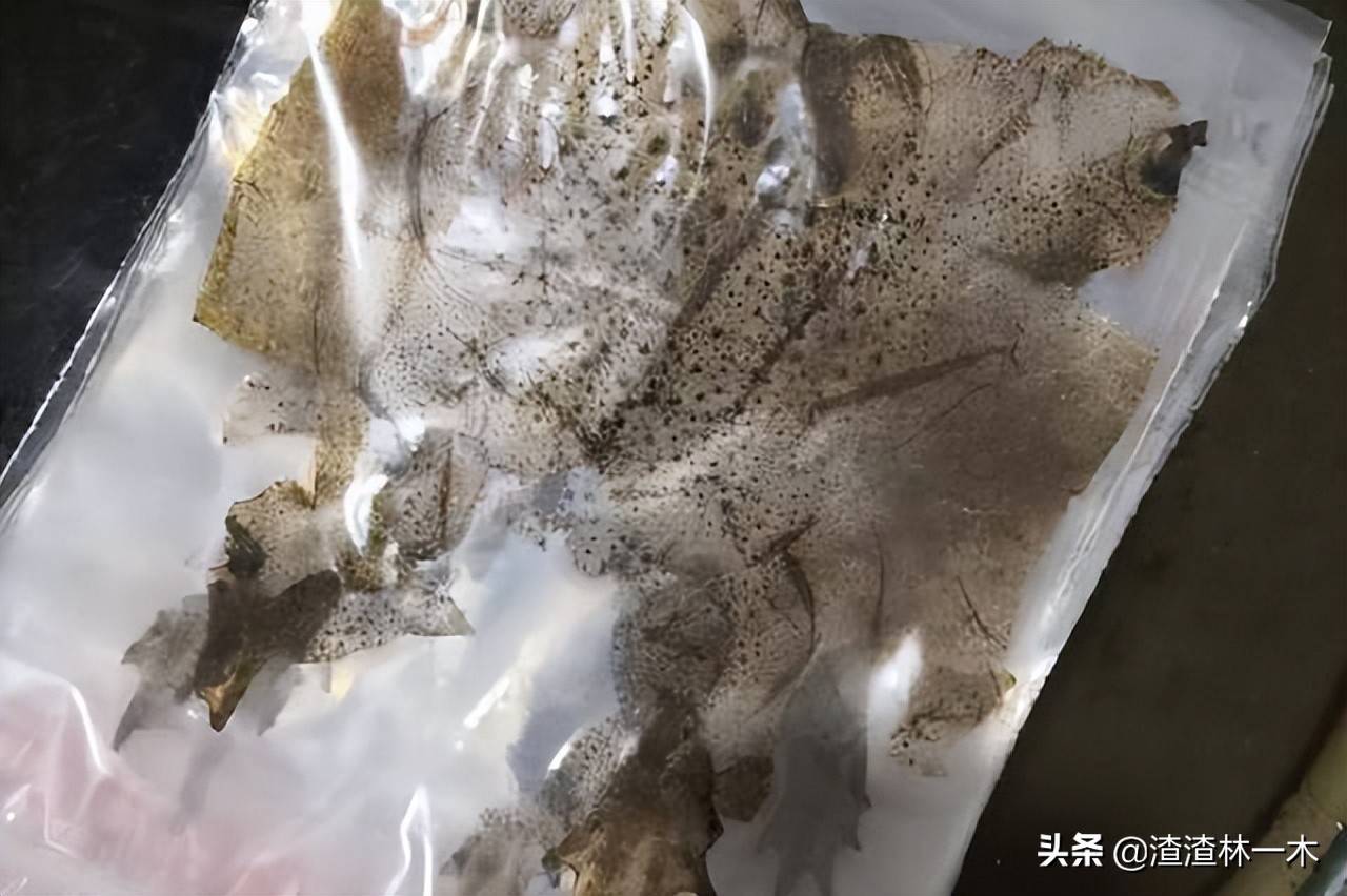 癞蛤蟆蜕皮图片