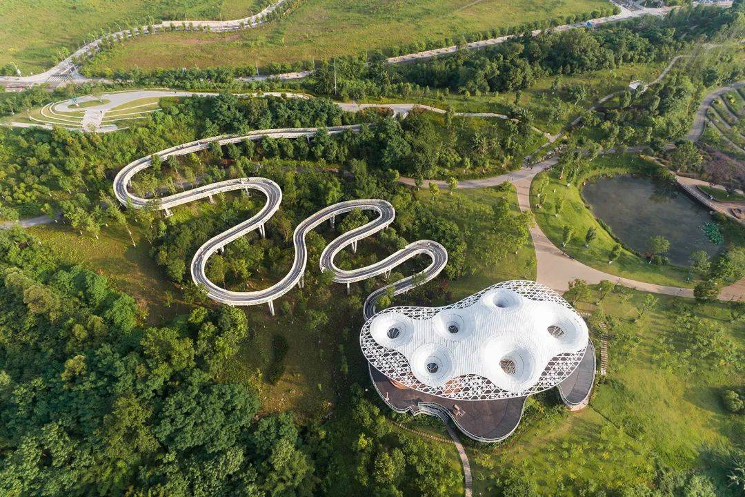 重庆礼嘉热度没了这怎么行安排一波