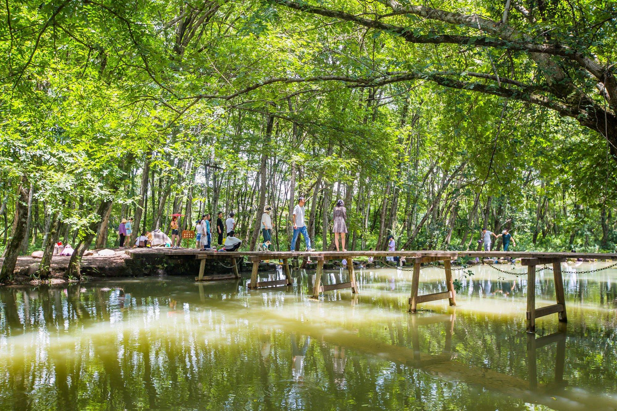 安徽黄山西溪南，隐藏在森林中的千年古村，吸引了众多游客来打卡