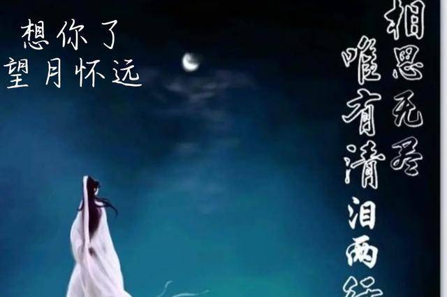 人隔千里难相依,寂寞相伴心孤零;想你,今夜许我梦里与你相依_悠悠