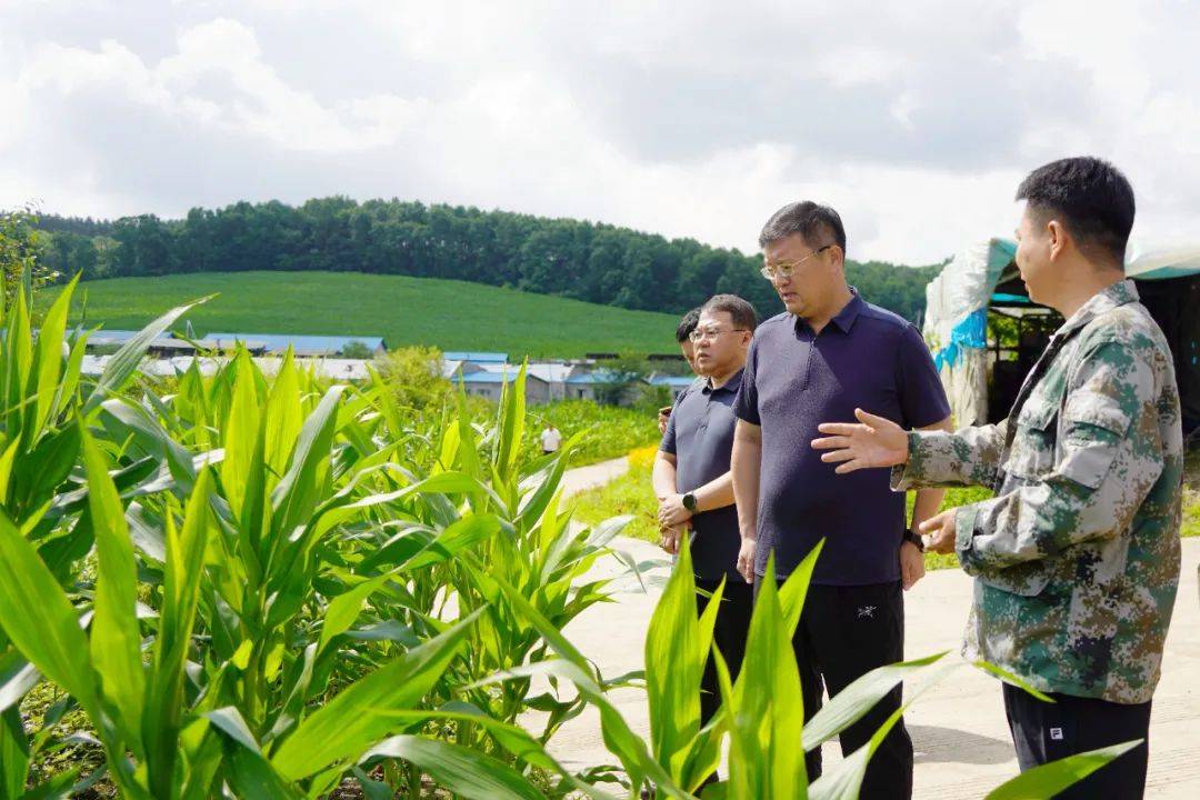 辉南县委书记孙维良深入部分乡镇督导检查防汛工作_应急_水库_防汛