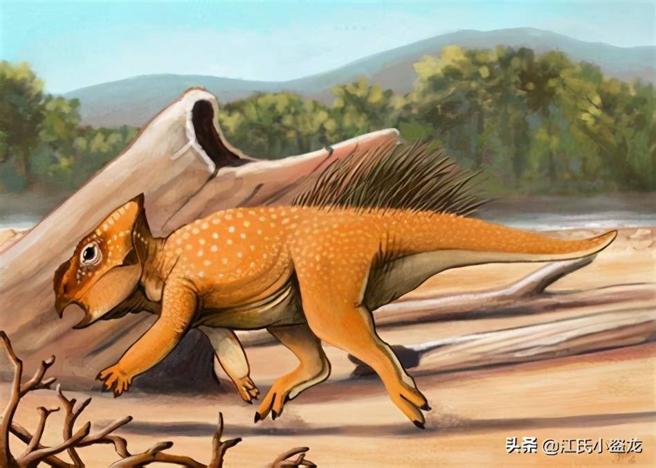 恐龙使用"跳岛战术"入侵了欧洲_奥伊考_角龙_龙的