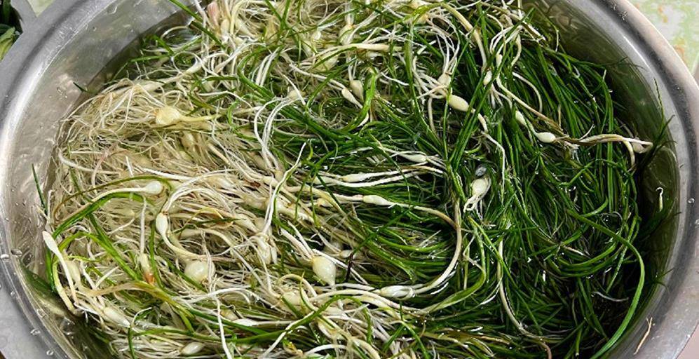 原创4月此菜和鸡蛋是绝配随手一炒就上桌营养鲜味足别不懂吃