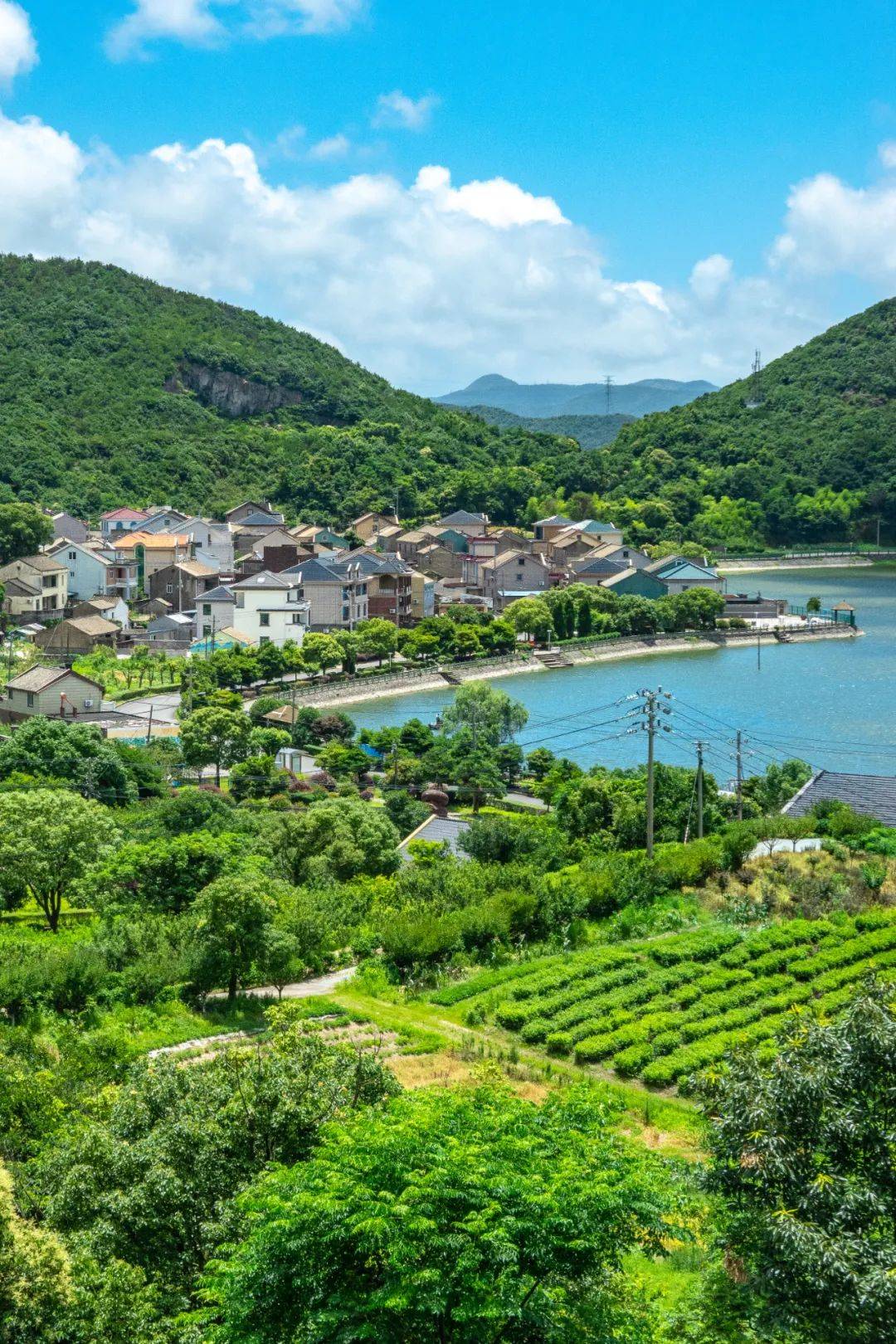 炎炎夏日不如去六横五星村喝口茶67抚慰躁动的心绪