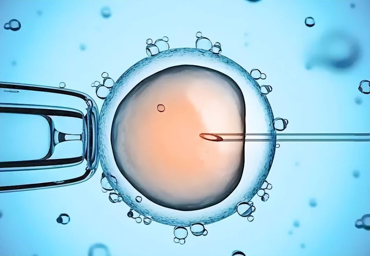 做试管婴儿生男女有哪些情况需要鲜胚移植？