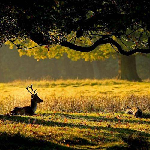 给自己带好运风景头像最美风景合集快来选一张吧