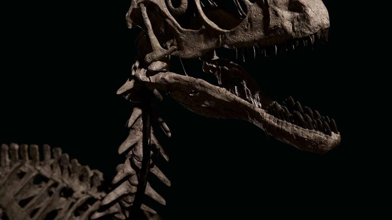 恐爪龙化石在佳士得拍出1200万美元