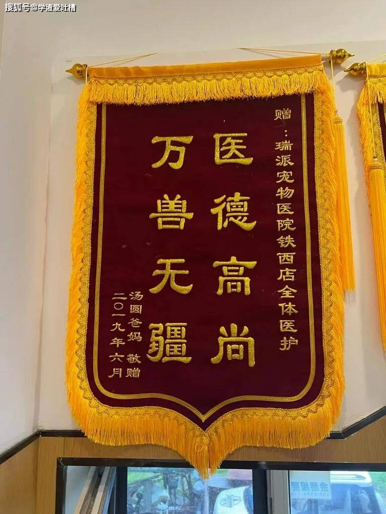 原创
“昨晚和喜欢的女生看电影,做了一件很浪漫的事,结果她把我拉黑了?”