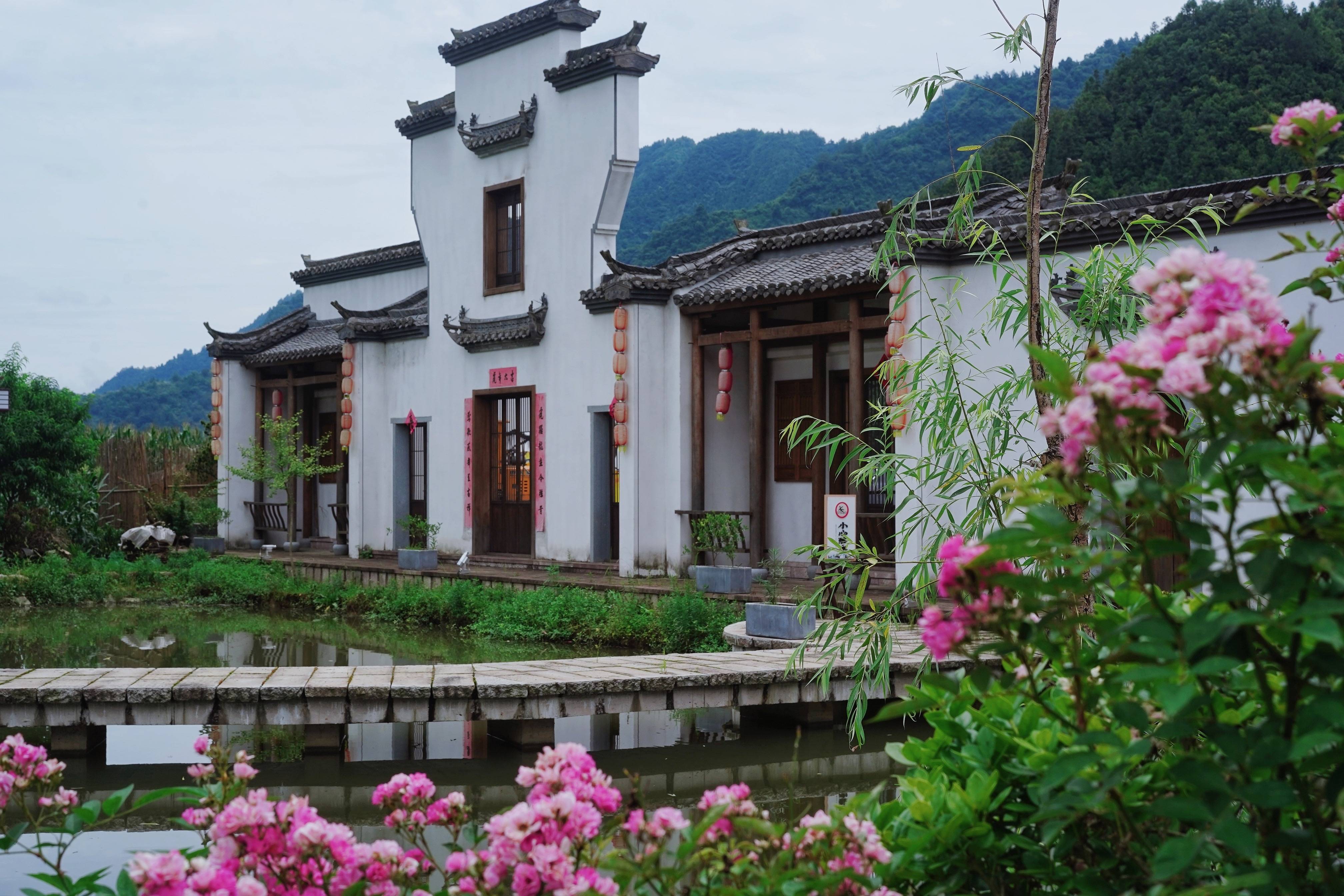 前几天和朋友到了杭州千岛湖边的淳安县梓桐镇,很是惊叹乡村振兴给