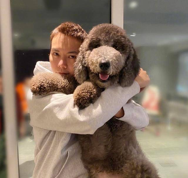 原创陈伟霆终于出关侧颜迷倒一片抱小猫超温柔穿卫衣像阳光大男孩