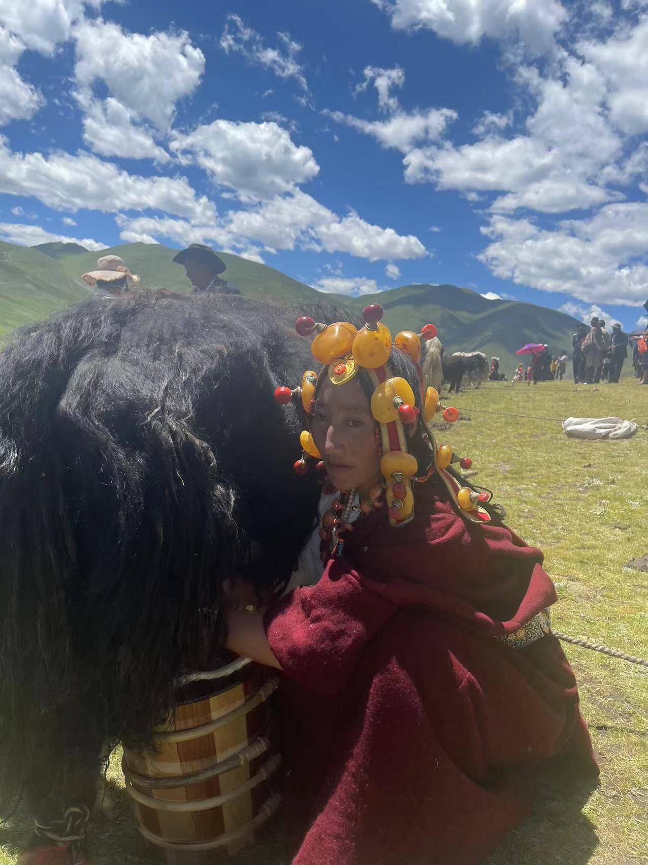 康巴母亲河畔“羊”气十足！首届雅砻源头水文化暨藏羊文化节开幕