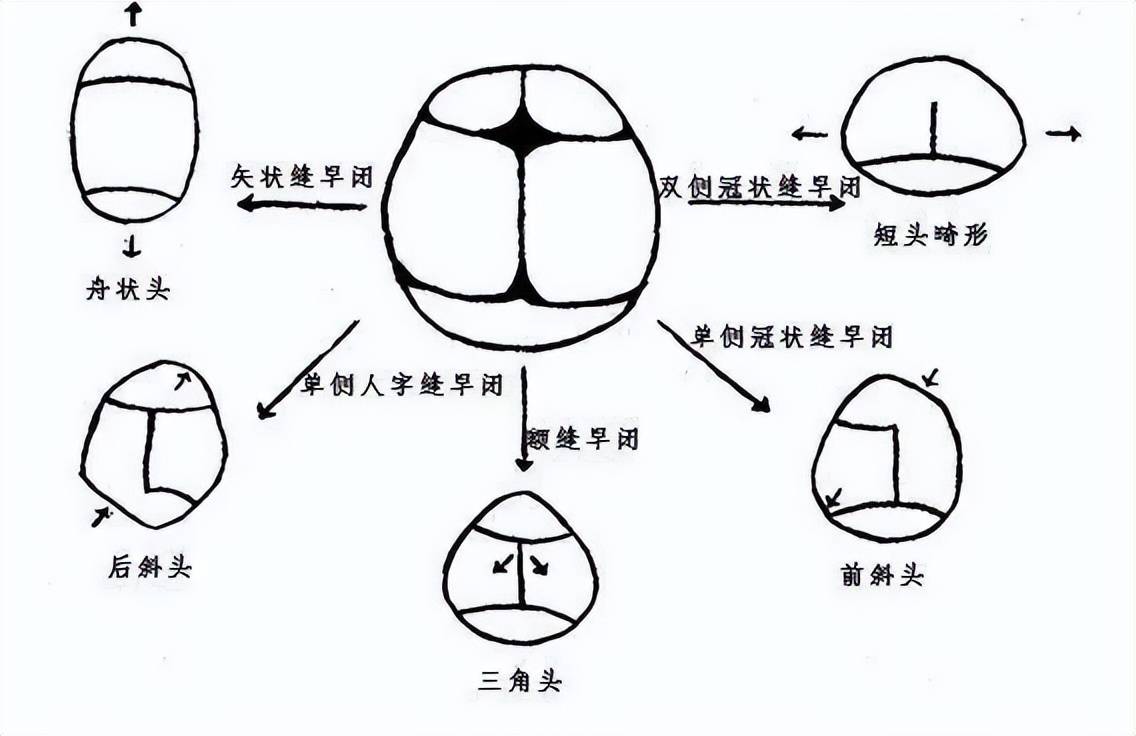 刘亦菲和陈晓