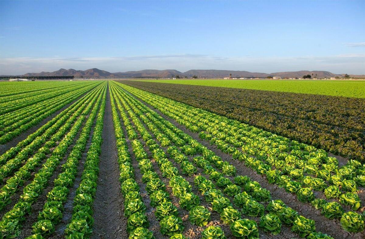 原创高端特色品牌农业的内在要求