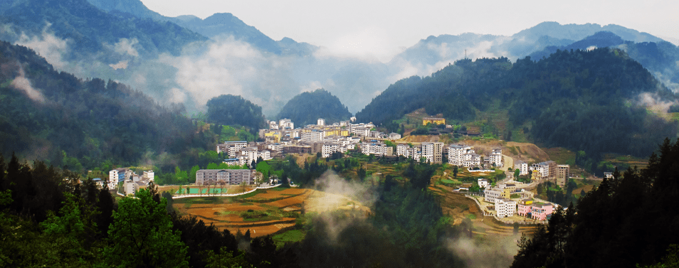 乡村振兴示范地青杠塘：环境卫生大整治 助推乡村“颜值”大提升