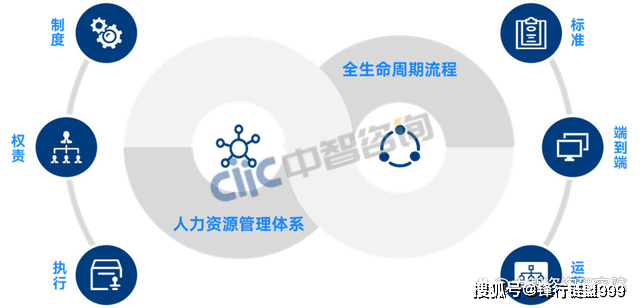 企BOB全站业人力资源数字化转型(图4)