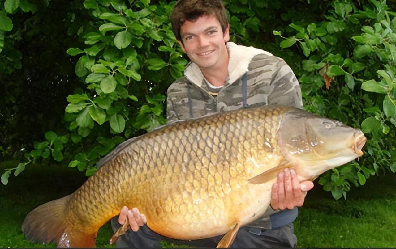 原创一生共被人钓起63次的鲤鱼死后登上报纸被誉为人民的鱼