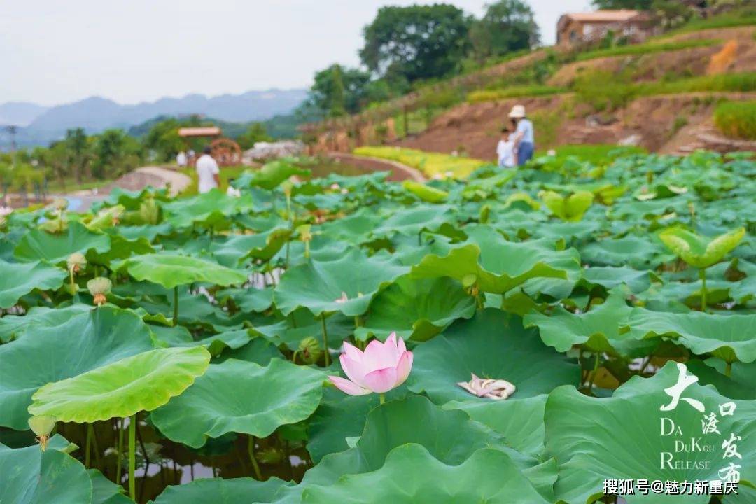 金鳌山图片