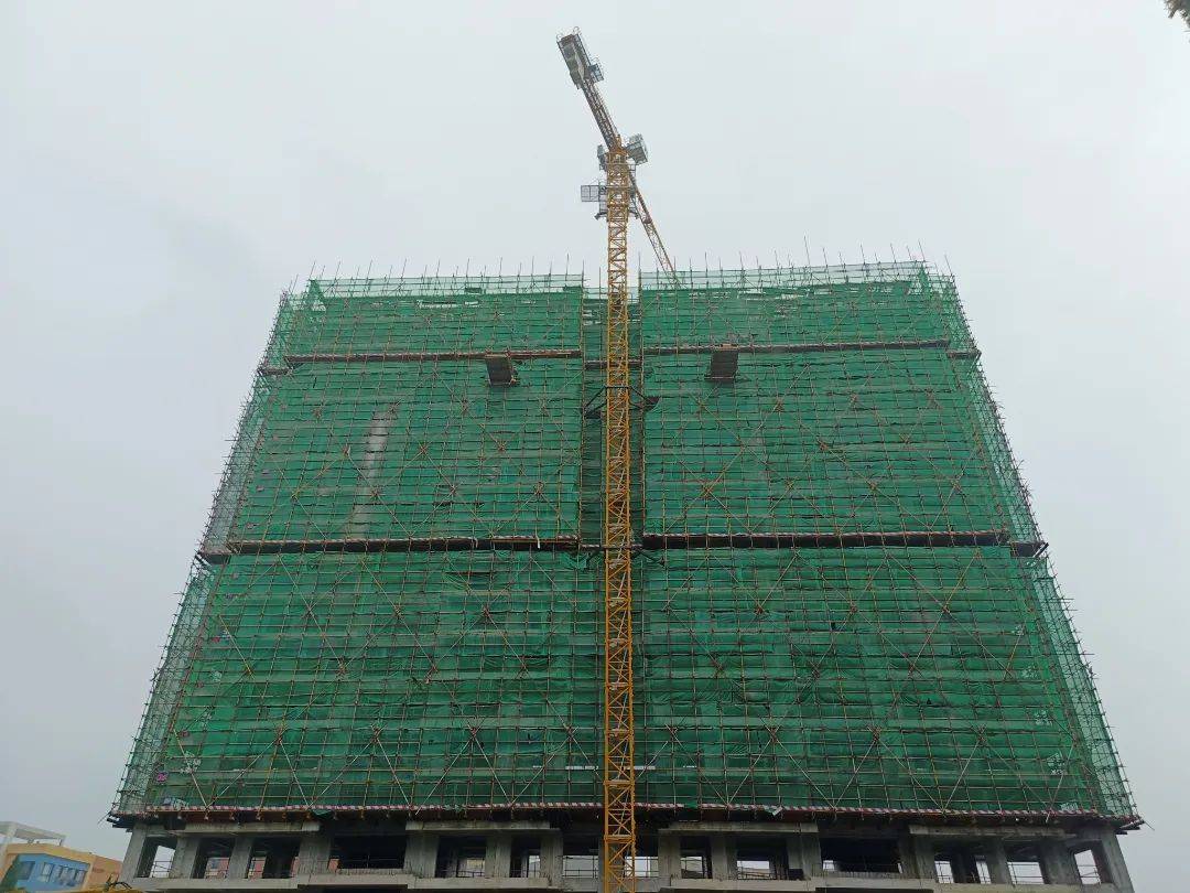 蝉鸣声声盛夏至,繁雨阵阵降热海,燥潮轮转花依在,中玮如约家速来.
