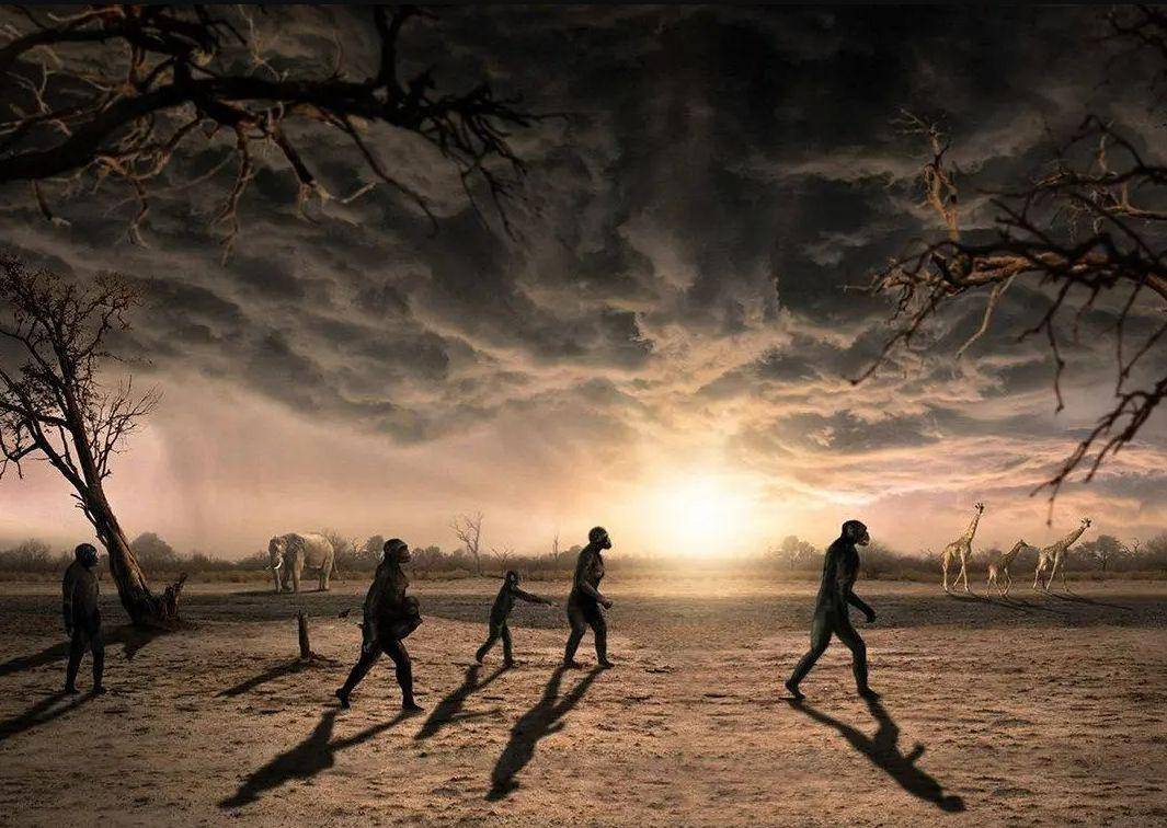 地球10万年前至少还有6种人类,为何最后,只剩下我们?