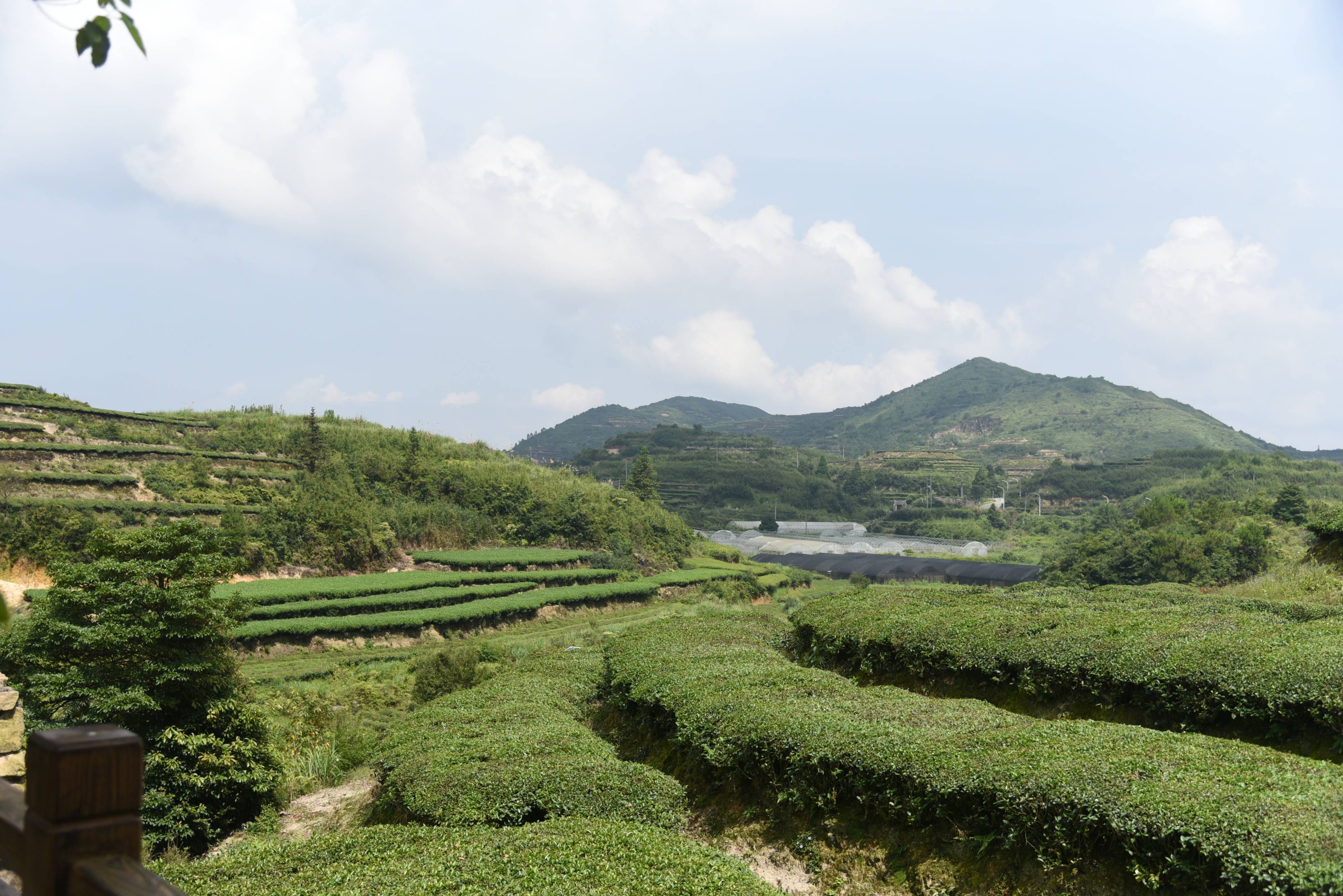 厦门顶上乡村图片