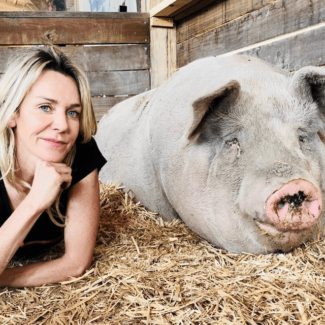 joanne_作品_因为