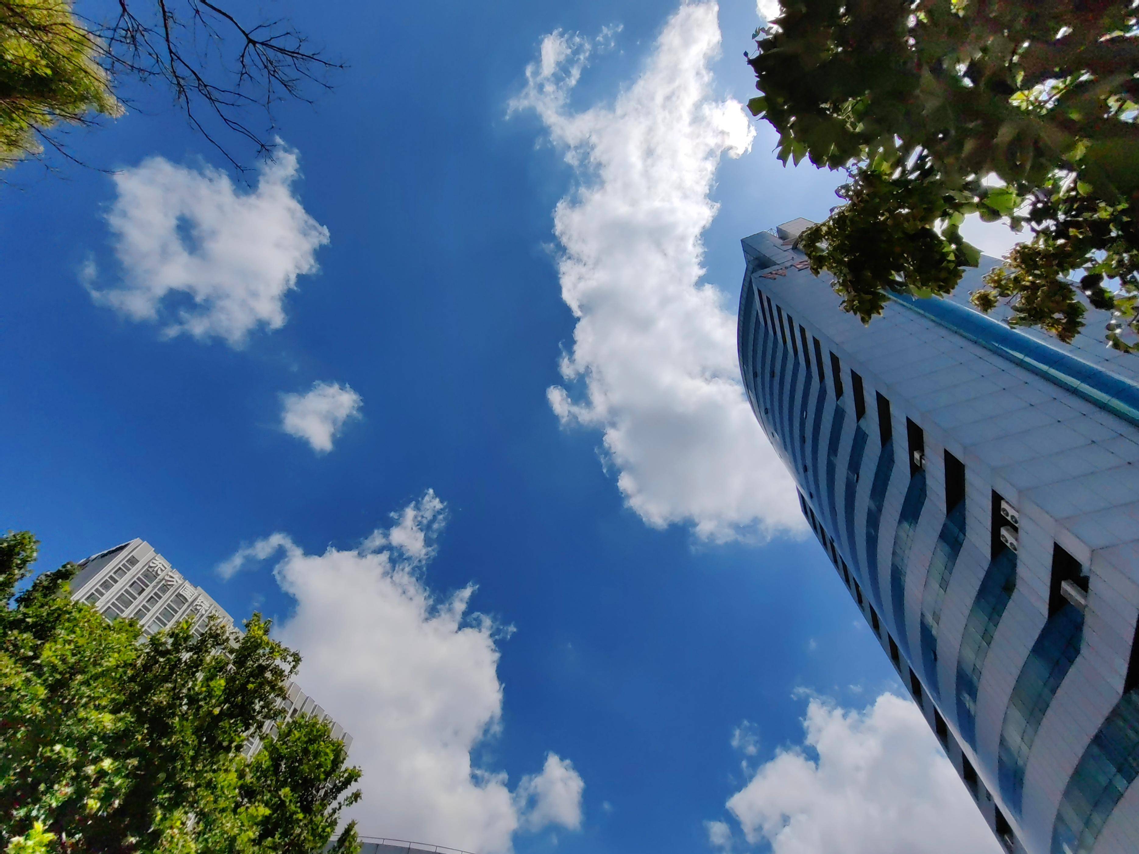 又见潍坊蓝,晴空万里,蓝天白云,手机又被潍坊蓝"霸屏"!