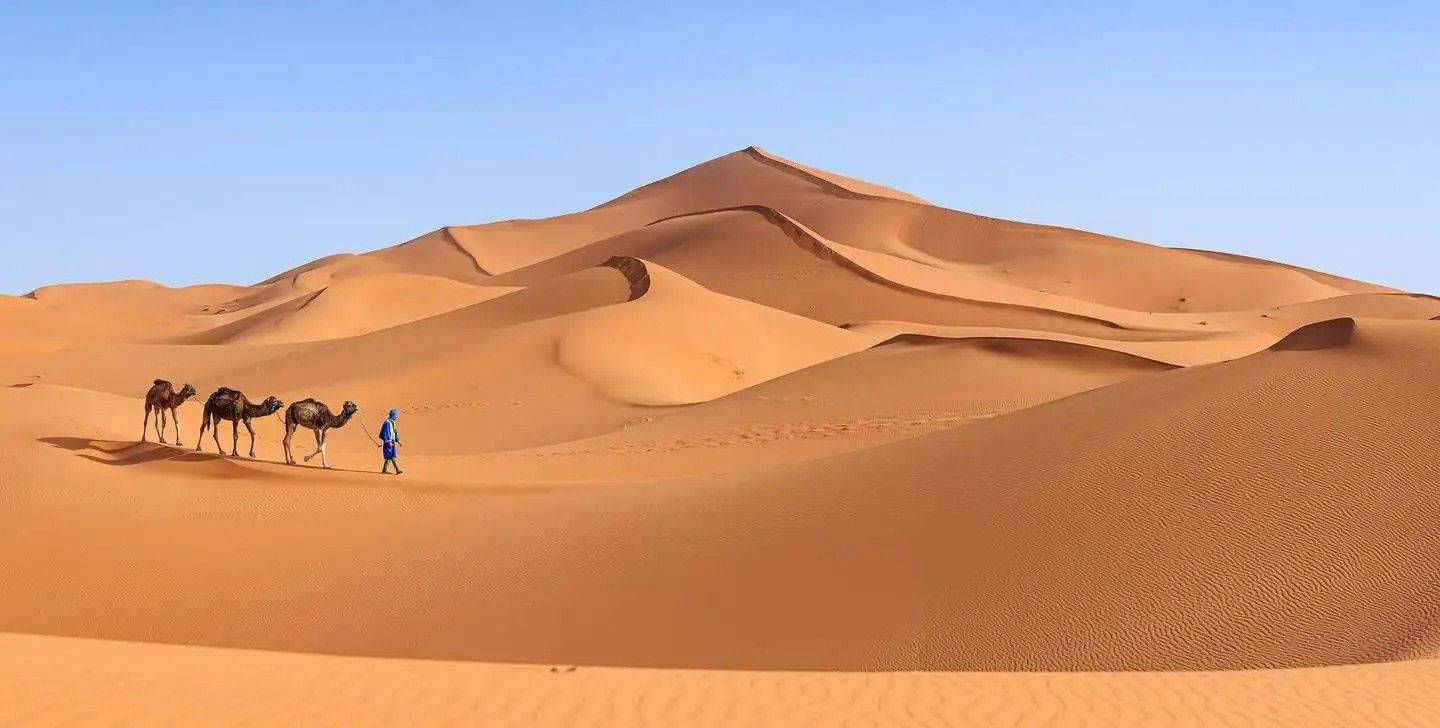 世界面积最大的沙漠，是地球上最不适合生物生存的地方，你敢去吗