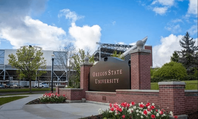 被US.News低估的牛校_US.News排名低估的大学_犹他大学专业排名