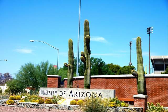 US.News排名低估的大学_被US.News低估的牛校_犹他大学专业排名