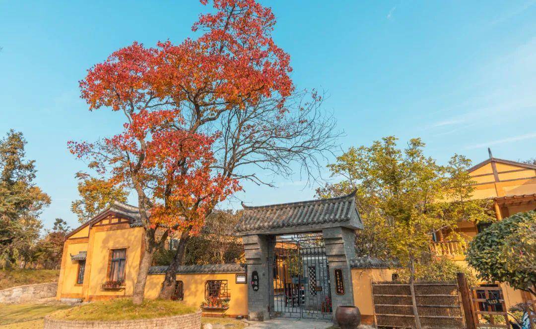 原创省人大代表葛天才农村闲置房屋可供城市养老乡村振兴首重人才