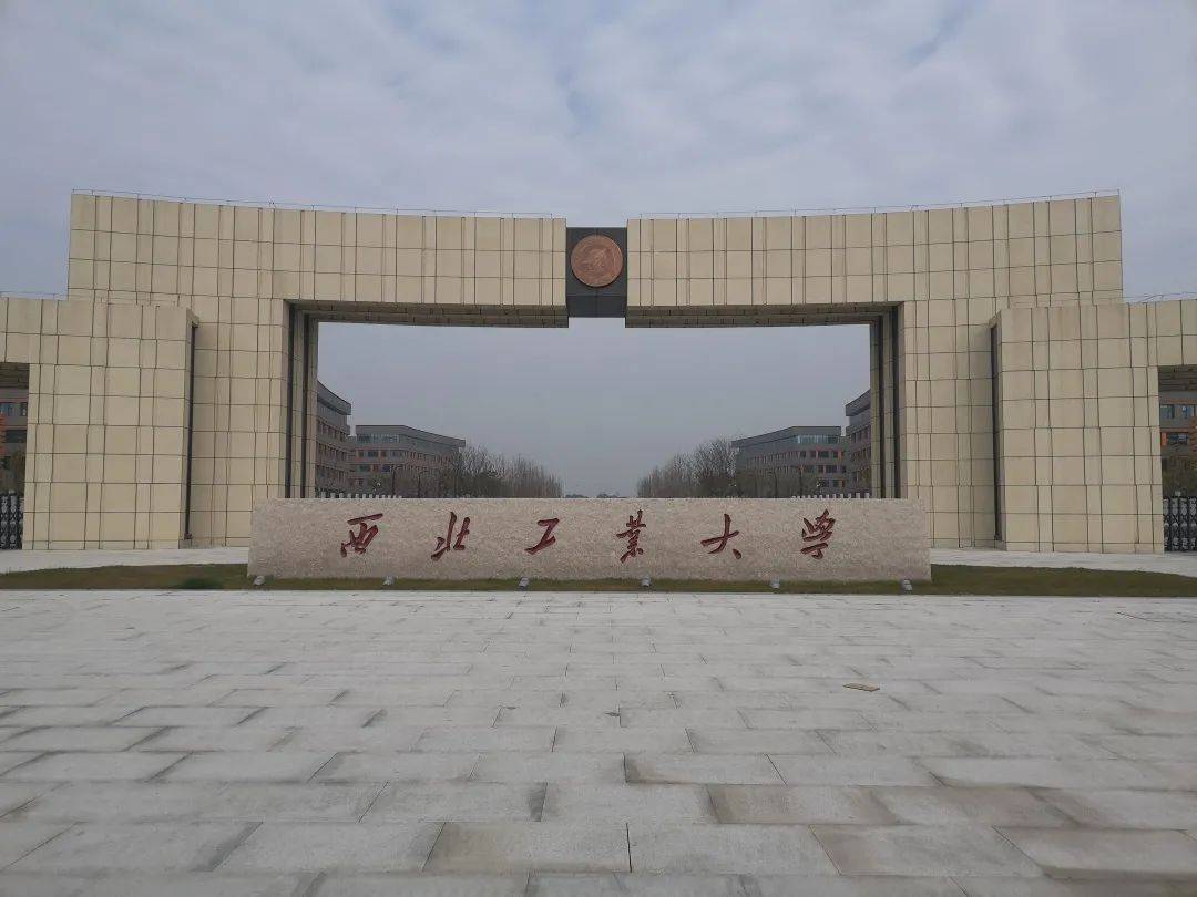 西北工业大学实景图项目东侧临近三凤湖湿地公园(在建中)太仓第二大