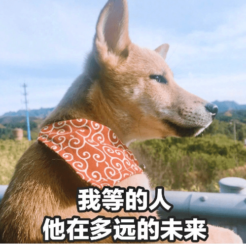 原创单身过情人节什么体验