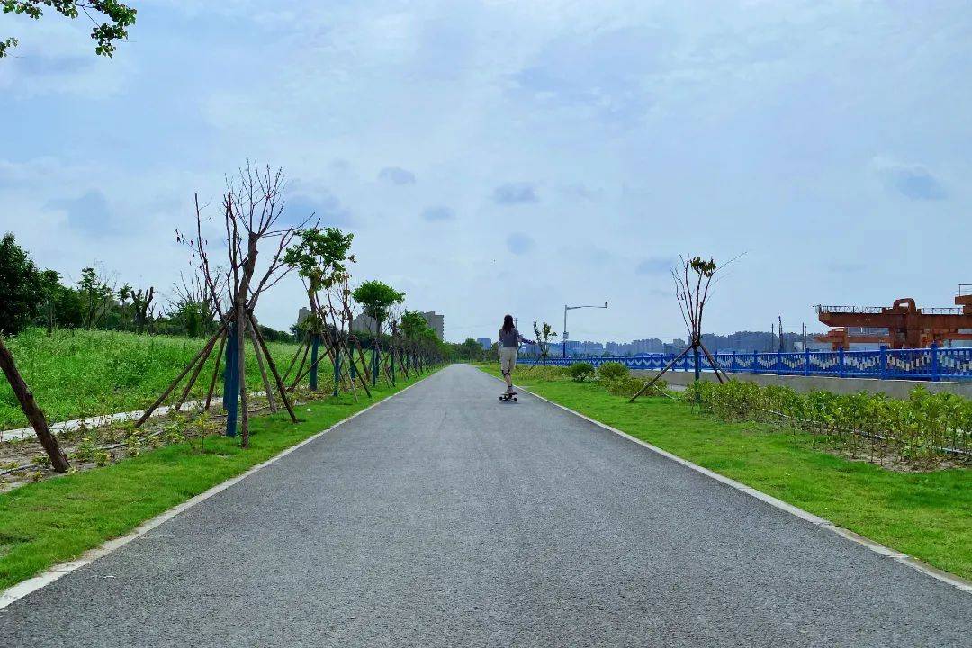 不要再宅家了！来宝山沿河休闲步道，步步皆风景