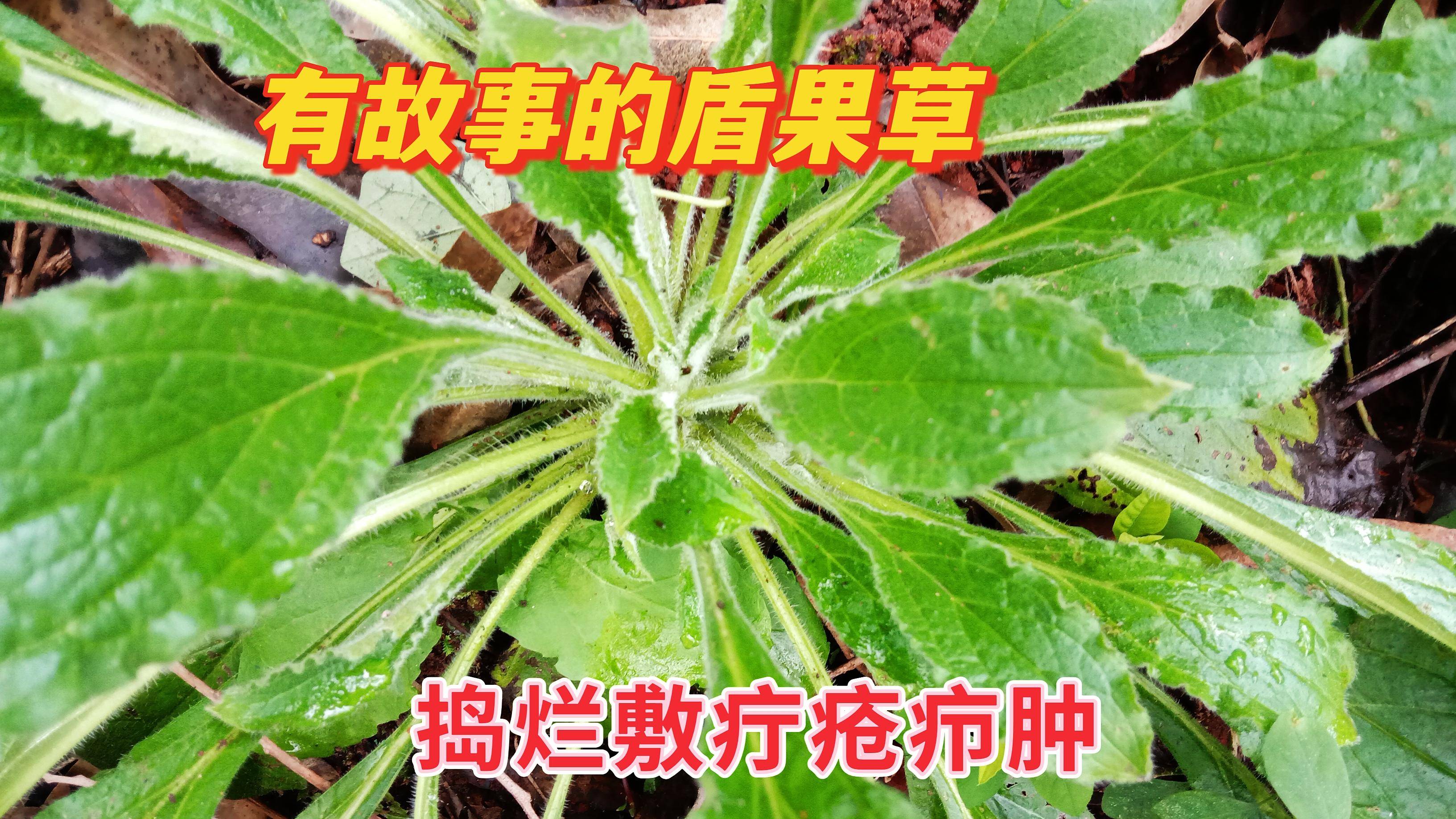 疔疮的症状的照片皮肤图片