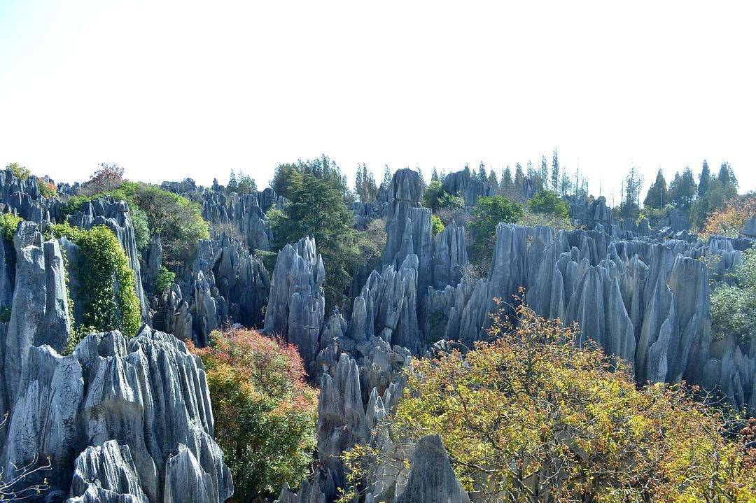 钙华地貌图片