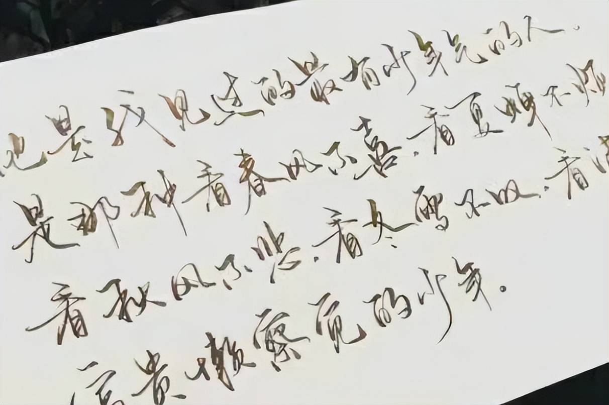 董卿体”看似个性十足，老师却喜欢不起来，与网红字体异曲同工_搜狐网