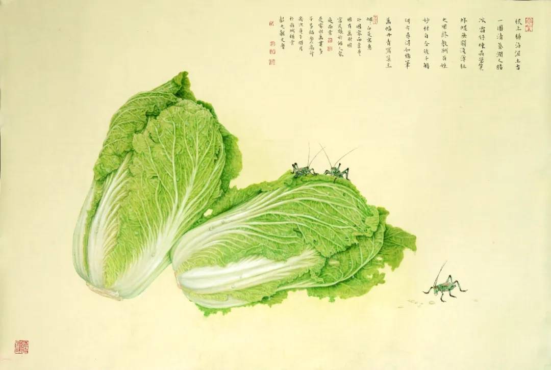千里菜园,只此翠绿:中国工笔画白菜王龙文会作品欣赏