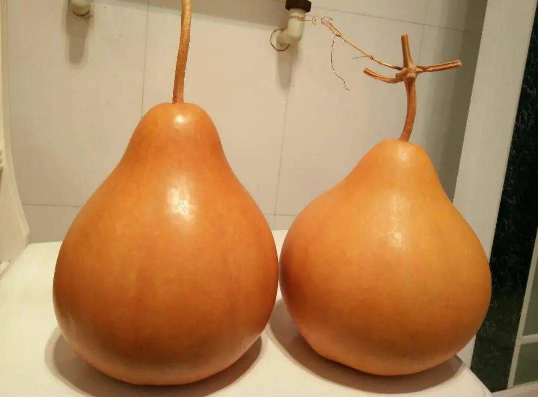 曼生十八式匏瓜品味经典