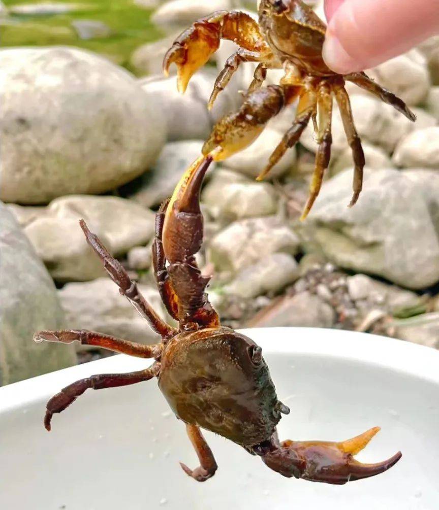 这地方你到大致位置了,看着河流那个地方可以就哪里停车下去,这里几乎